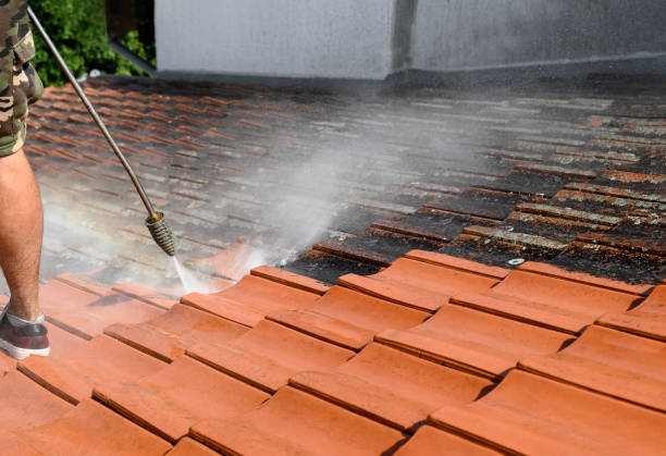 Best Concrete Pressure Washing  in El Portal, FL