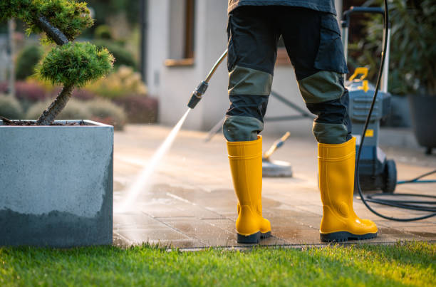 Best Pressure Washing Near Me  in El Portal, FL